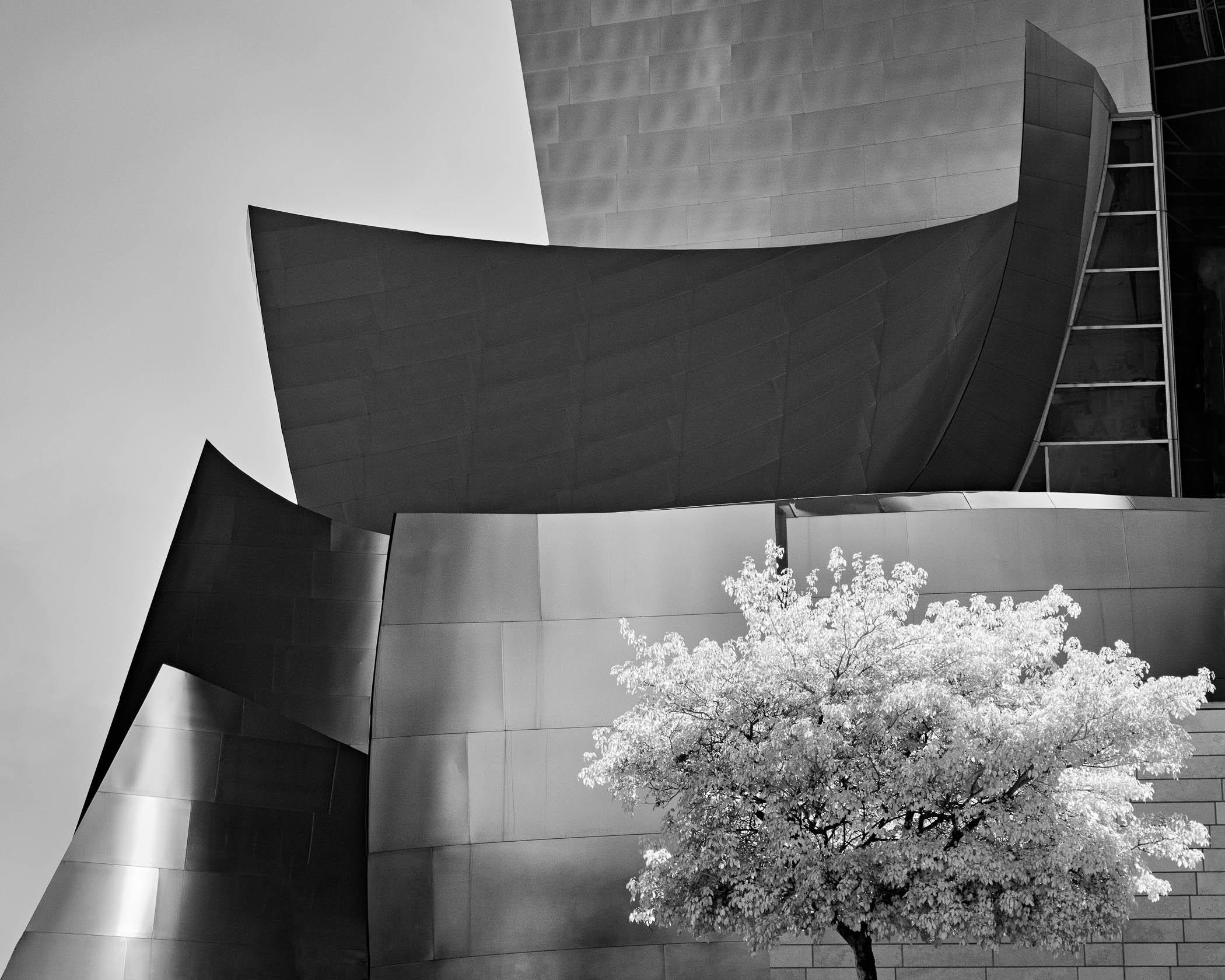 Behind the Scenes: Setting Up for a Backlit Wedding Portrait